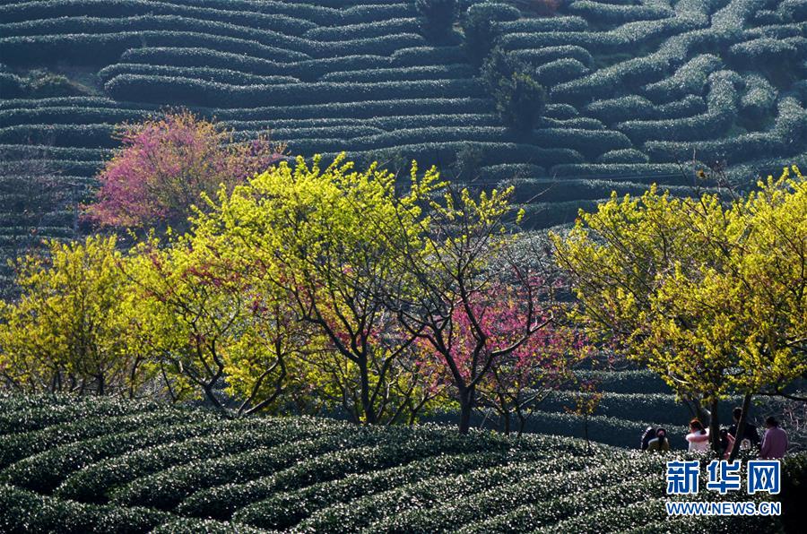 ?????? ??????? ???? ?????? ??????? ?? ??????