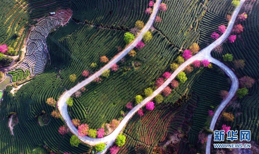 ?????? ??????? ???? ?????? ??????? ?? ??????