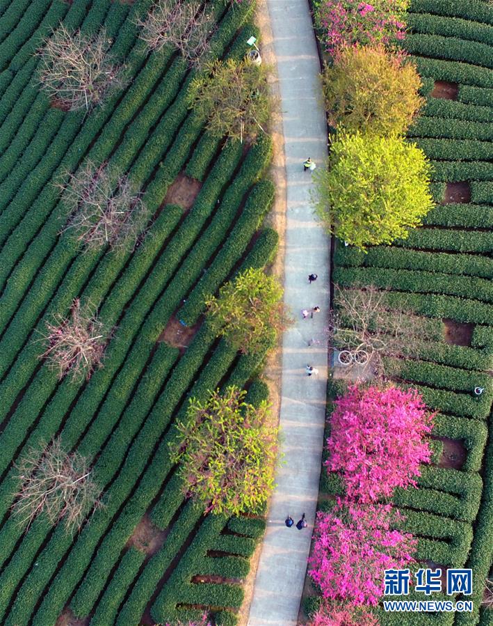 ?????? ??????? ???? ?????? ??????? ?? ??????