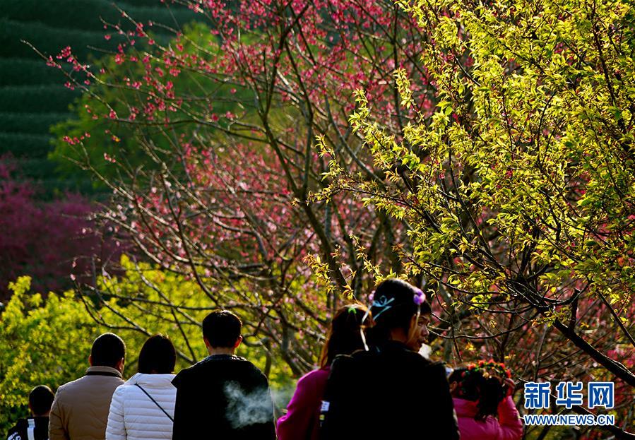 ?????? ??????? ???? ?????? ??????? ?? ??????