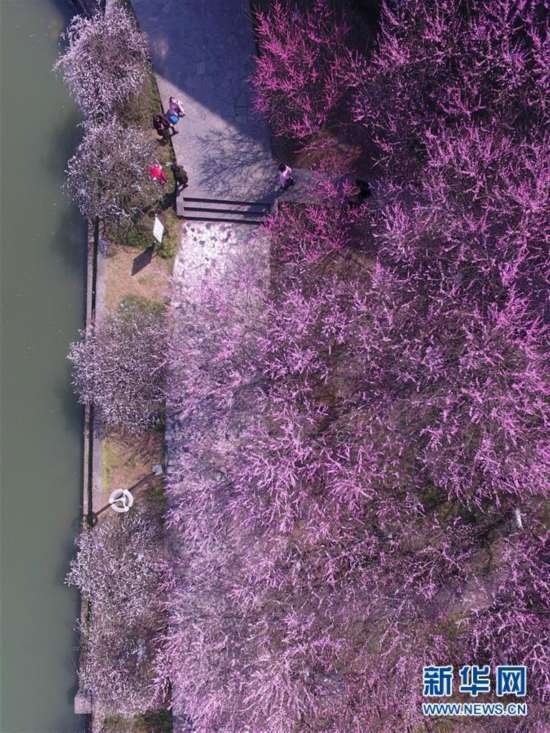 ??? ??????? ???? ??????