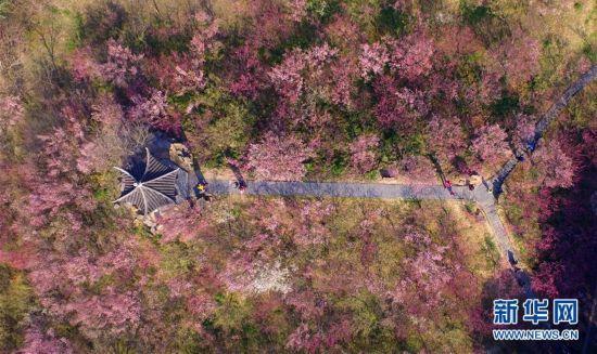 ??? ??????? ???? ??????