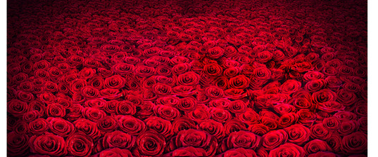 ????? ??????: ????? ??? ??????? ?????? ??? ???? ?? ???? ??? ??? ?????? ?????????