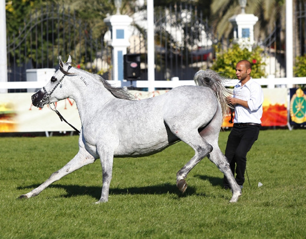 ??? ?????????/????? (????? ????): ??? ????? ??????? ?? ?????