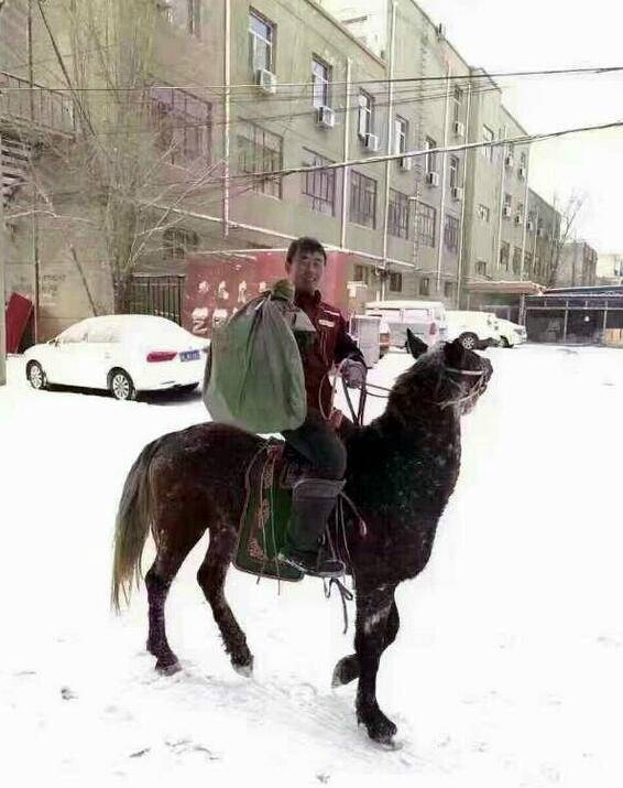 ???? ???? ???? ???? ?? ??????? ???? ???????