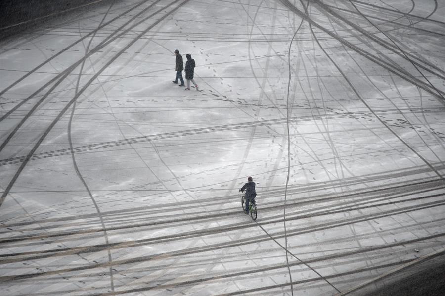 ????? ????? ??? ????? ?????? ??????