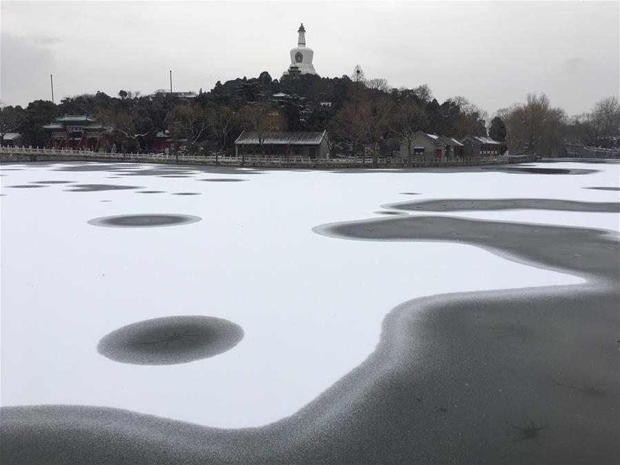 ????? ????? ??? ????? ?????? ??????