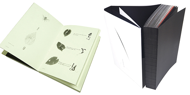 ?????? ?????? ?? ??? 