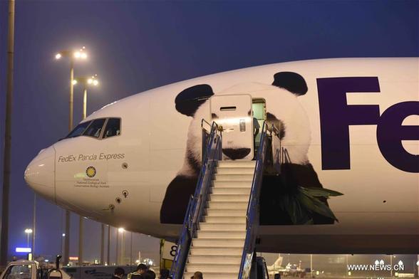 ??????? ???????? ???????? ???? ????? ????? ?????? ??? ?????? ???????