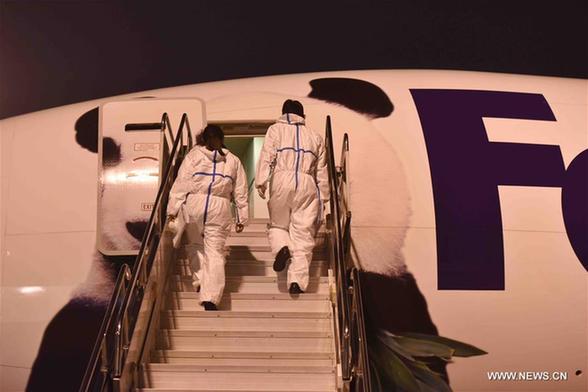 ??????? ???????? ???????? ???? ????? ????? ?????? ??? ?????? ???????