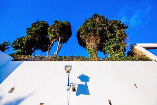 ???? ????? ?????? ????? .. ???? ?????? ????? ??????