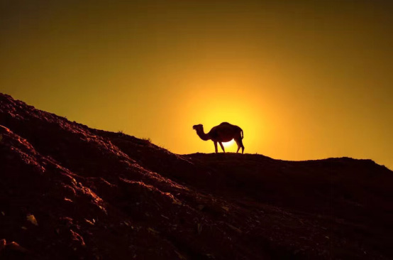 ???? ????? ?????? ????? .. ???? ?????? ????? ??????