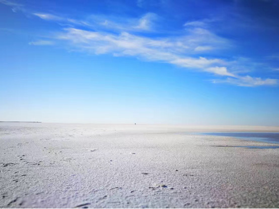 ???? ????? ?????? ????? .. ???? ?????? ????? ??????