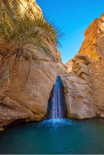 ???? ????? ?????? ????? .. ???? ?????? ????? ??????