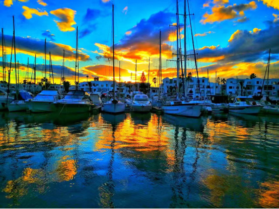 ???? ????? ?????? ????? .. ???? ?????? ????? ??????