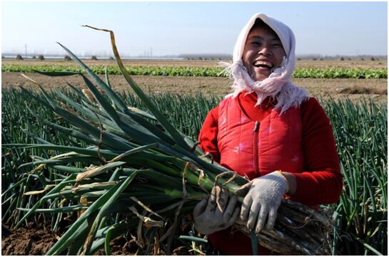 ????? ???? ????? ?????? ?? ?????? ?????? ?? ????? ???? ?? ?????