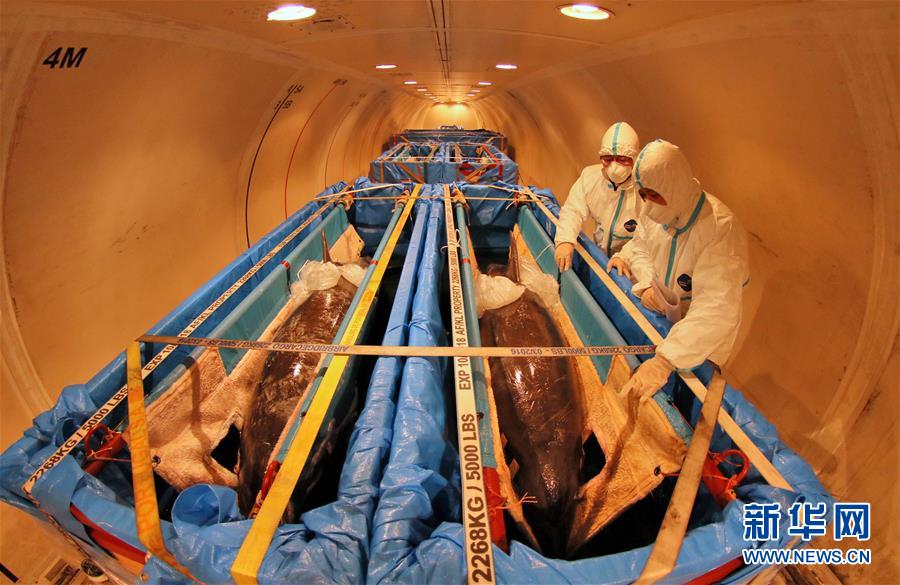 ???? 10 ?????? ?????? ???? ??? ?????? ?? ?????? ???????