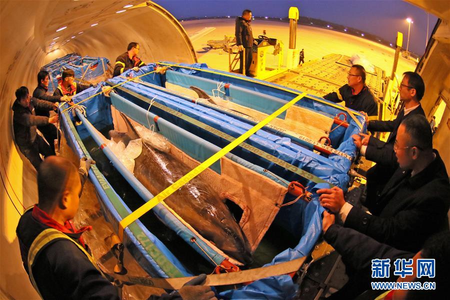 ???? 10 ?????? ?????? ???? ??? ?????? ?? ?????? ???????