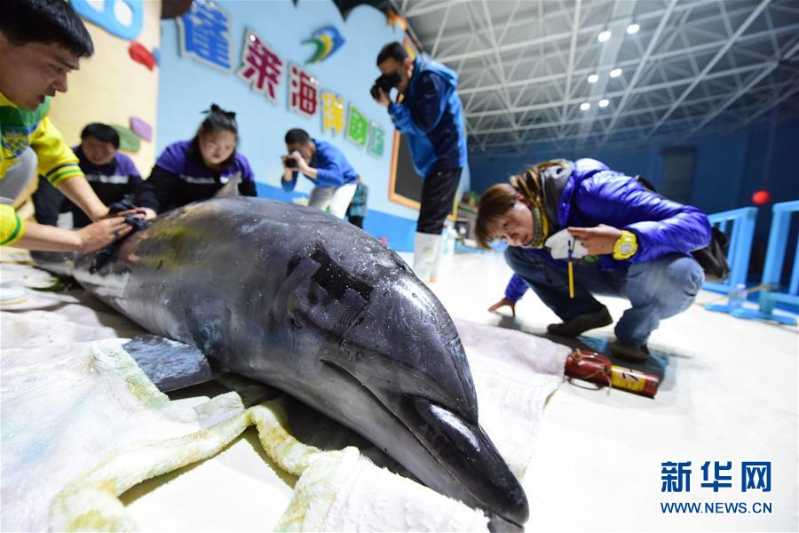 ???? 10 ?????? ?????? ???? ??? ?????? ?? ?????? ???????