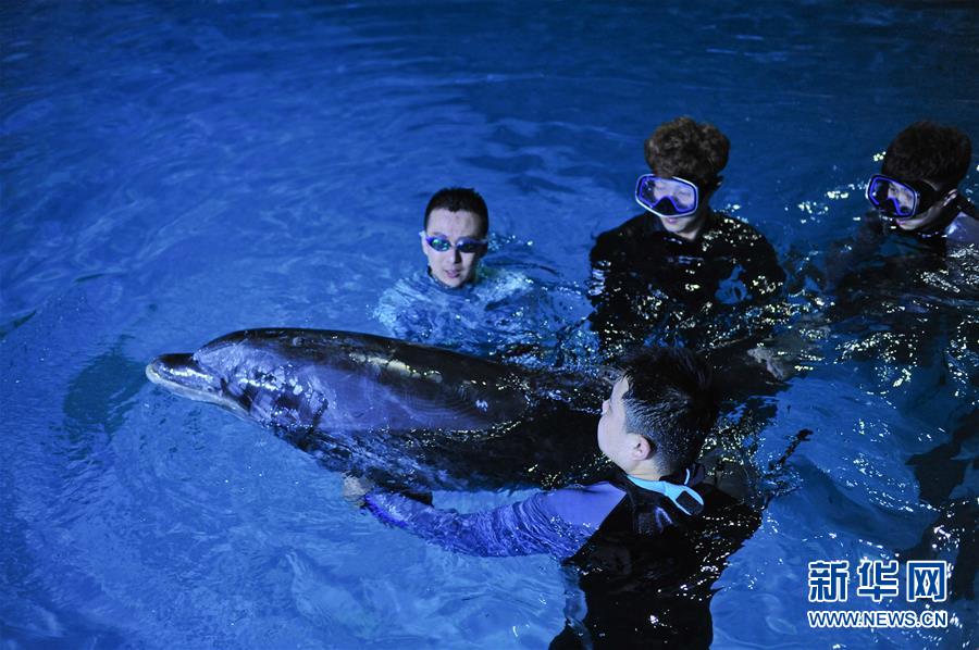 ???? 10 ?????? ?????? ???? ??? ?????? ?? ?????? ???????