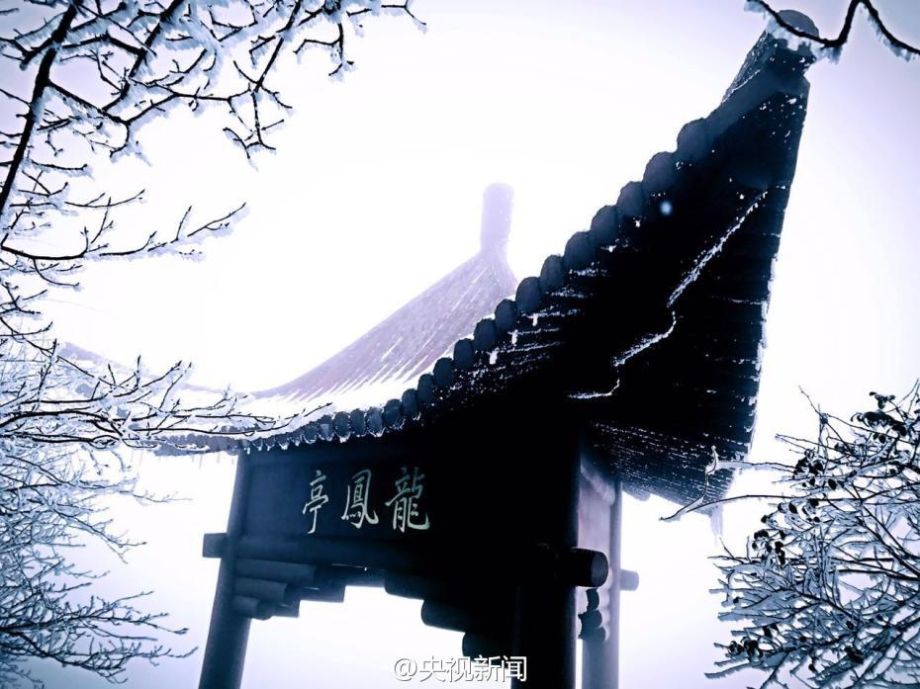 ????? ?????? ??????? ?? ???? ??????? ???????