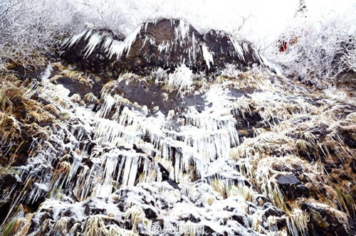 ????? ?????? ??????? ?? ???? ??????? ???????