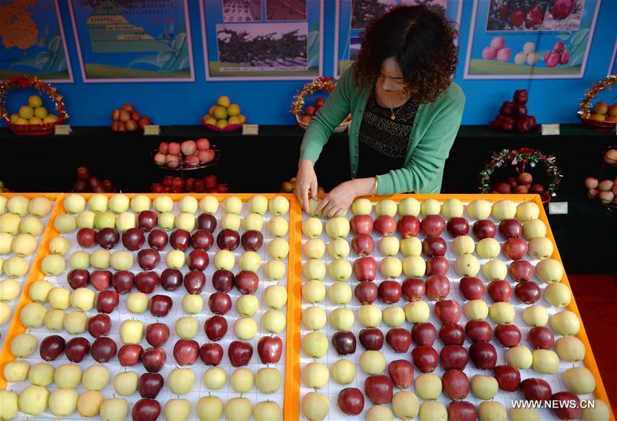 ?????? ??? ???????? ????? ???????? ?? ??????? ??????? ???????