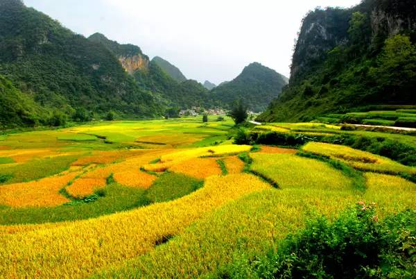 ?????? ??????.. ??? ??? ?????