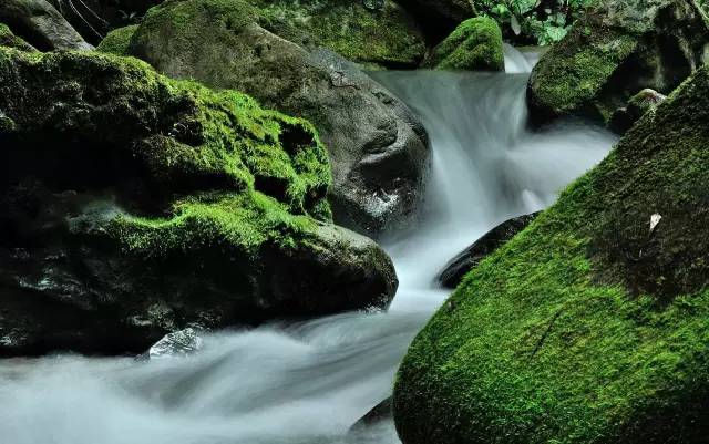 ?????? ??????.. ??? ??? ?????