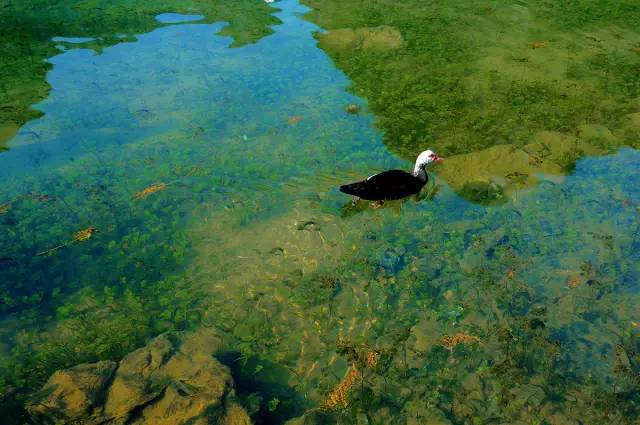 ?????? ??????.. ??? ??? ?????