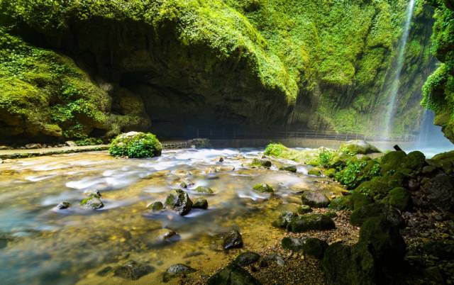 ?????? ??????.. ??? ??? ?????