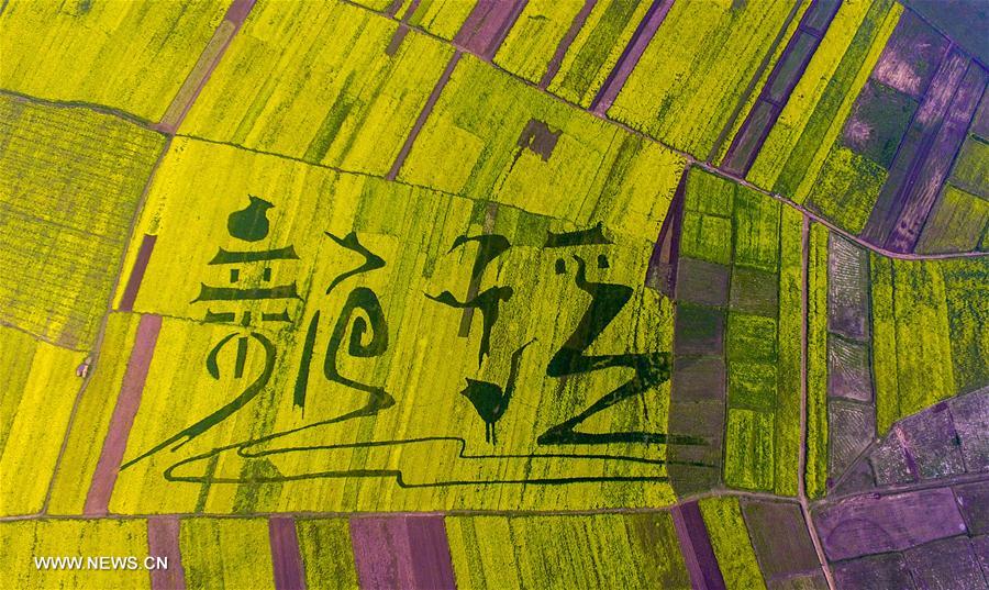 ???? ???? ?????? ?? ???? ?????? ?????? ?????