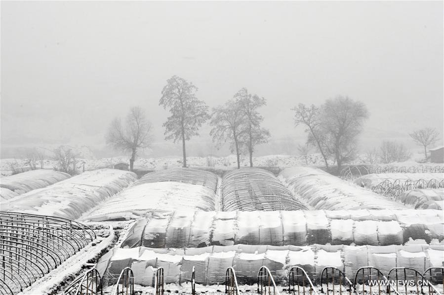 ????? ????? ???? ??? ?????