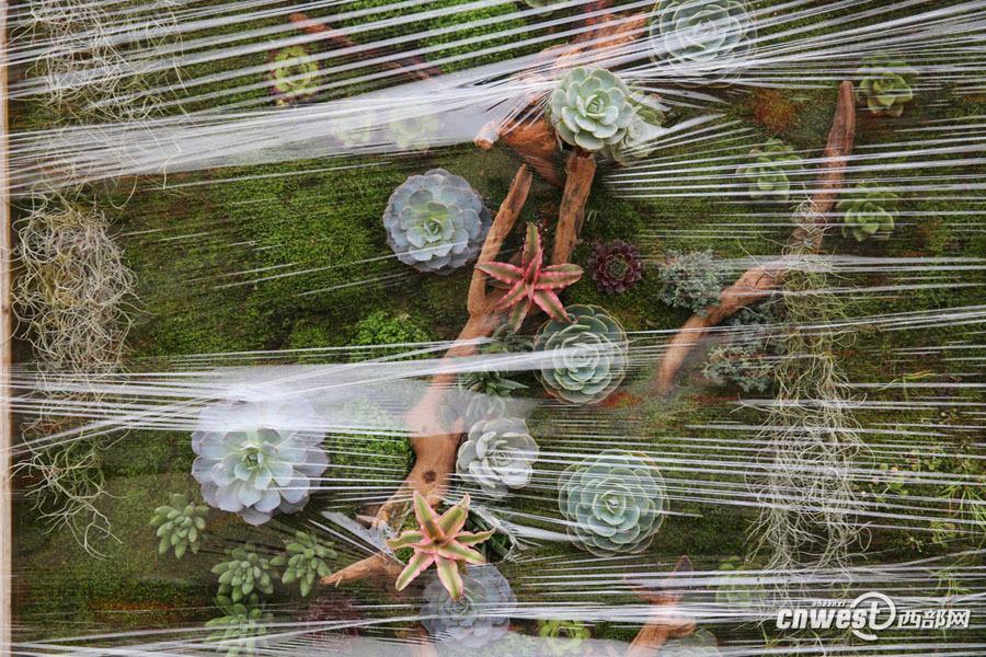 ??????: ???? ???? ????? ??????? ???????