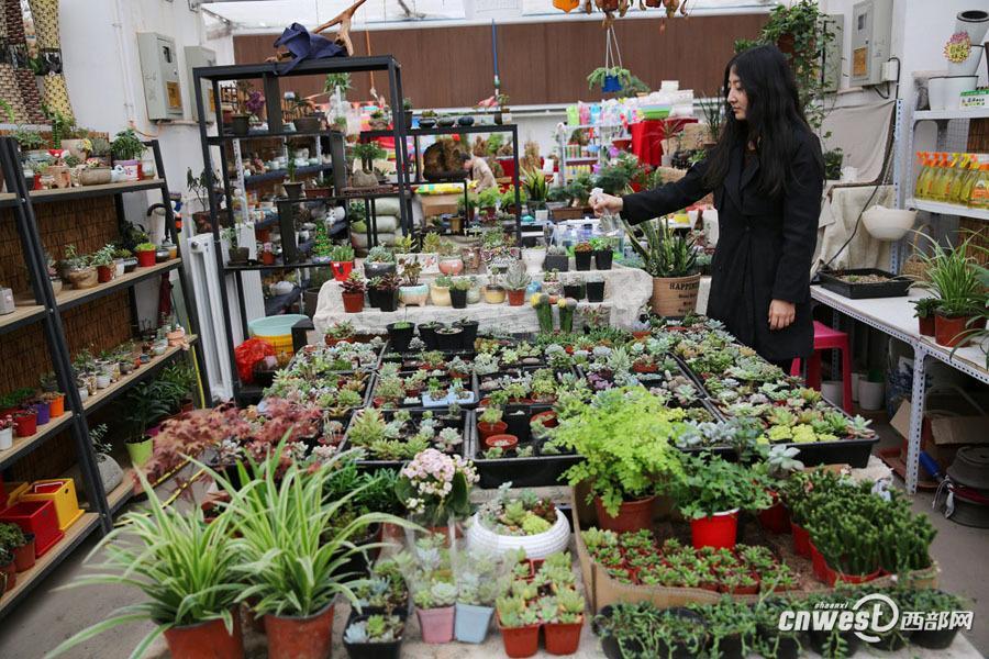 ??????: ???? ???? ????? ??????? ???????