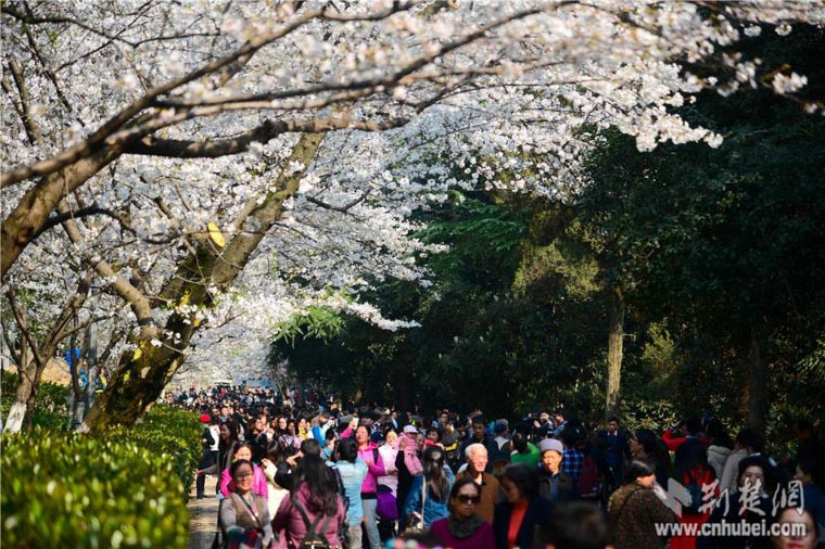 ??????..  ??????  ????? ????? ?? ????? ????? ?? ????