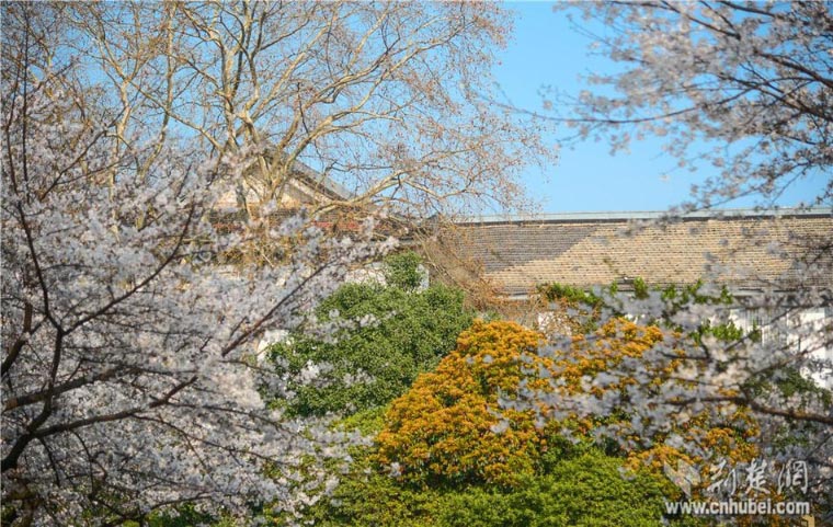 ??????..  ??????  ????? ????? ?? ????? ????? ?? ????