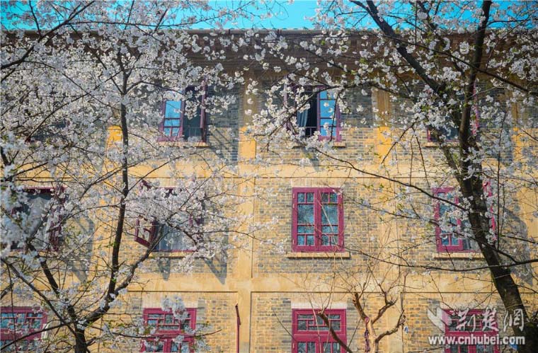 ??????..  ??????  ????? ????? ?? ????? ????? ?? ????