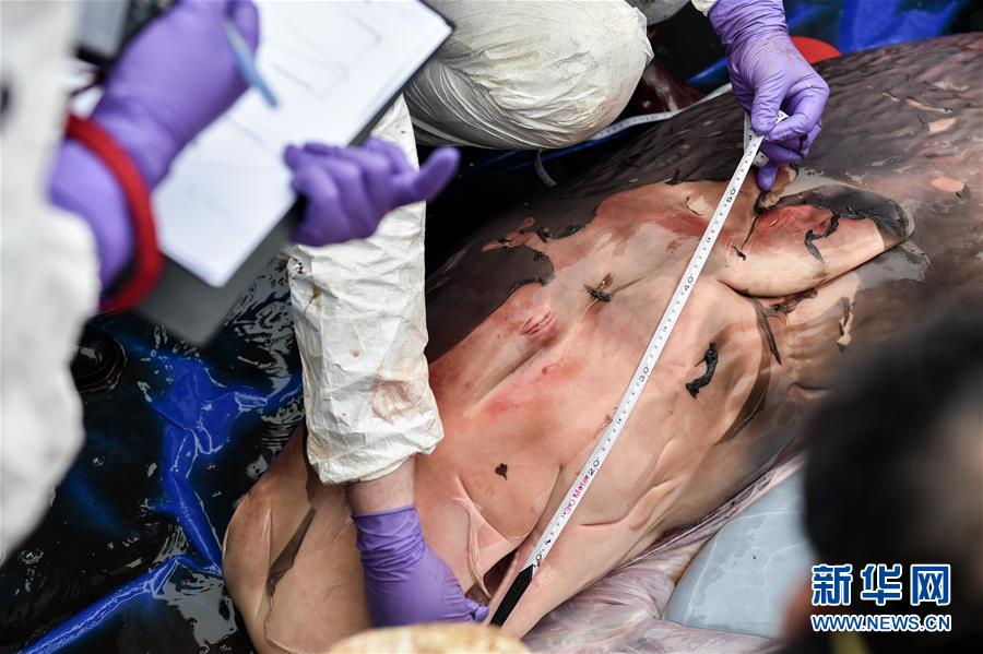 ????? ??? ??? ?????? ??????? ???? ???? ????