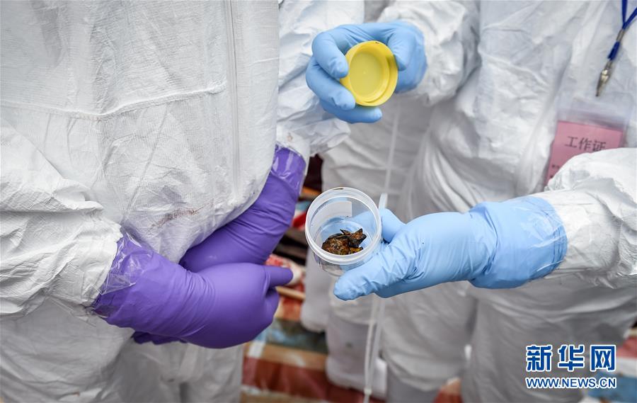 ????? ??? ??? ?????? ??????? ???? ???? ????