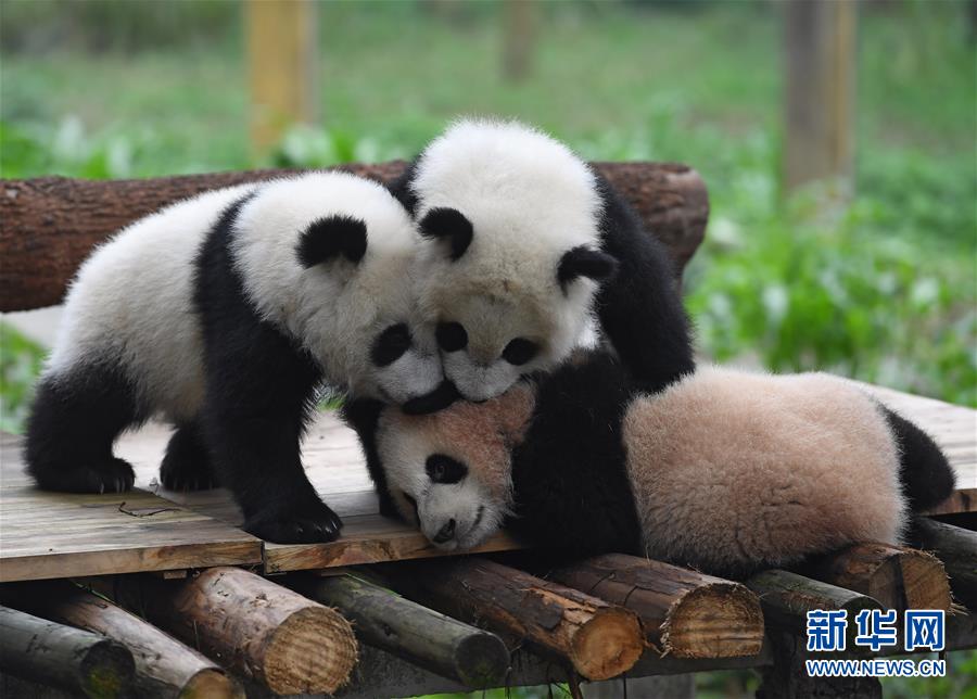 ????? ???? ????? ?? ?????  ?????????? ???????? ???????? ???? ???