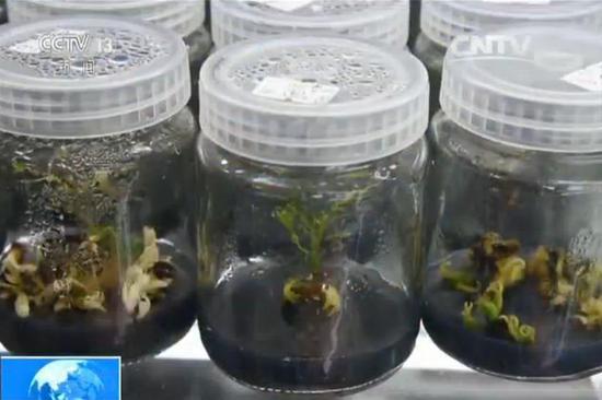 ????? ?????? ?????? ?? ????? ???? ??????? ?? ??????