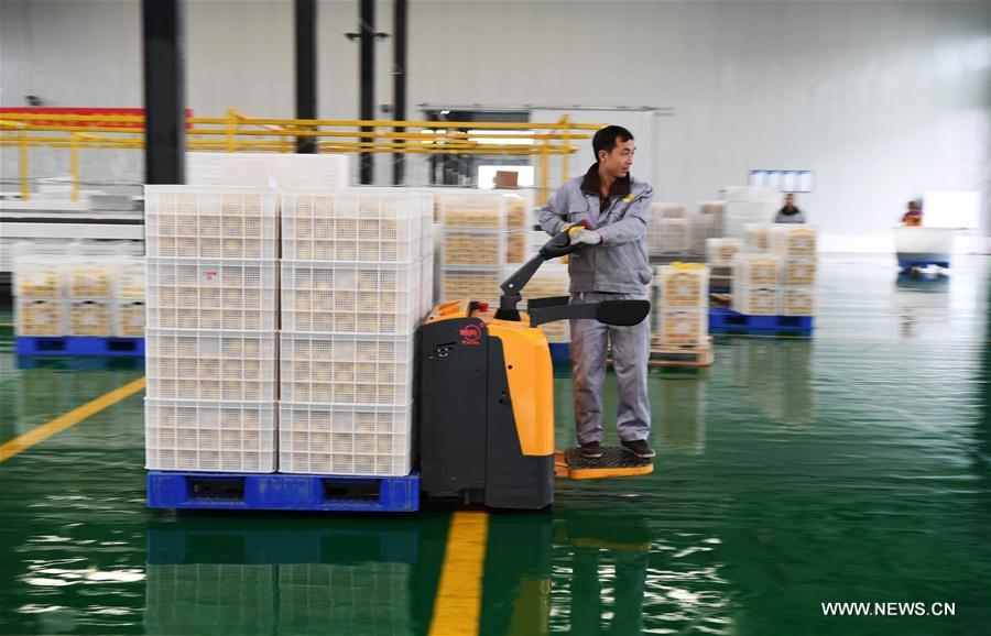 ?????:?? ???????? ??????? ??? ???? ?????!