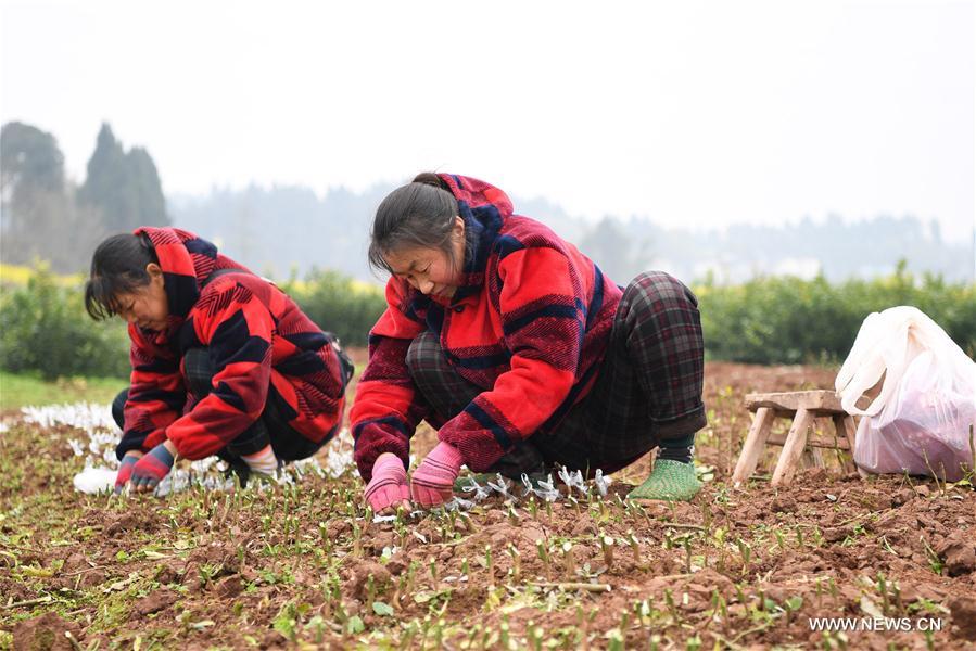 ?????:?? ???????? ??????? ??? ???? ?????!