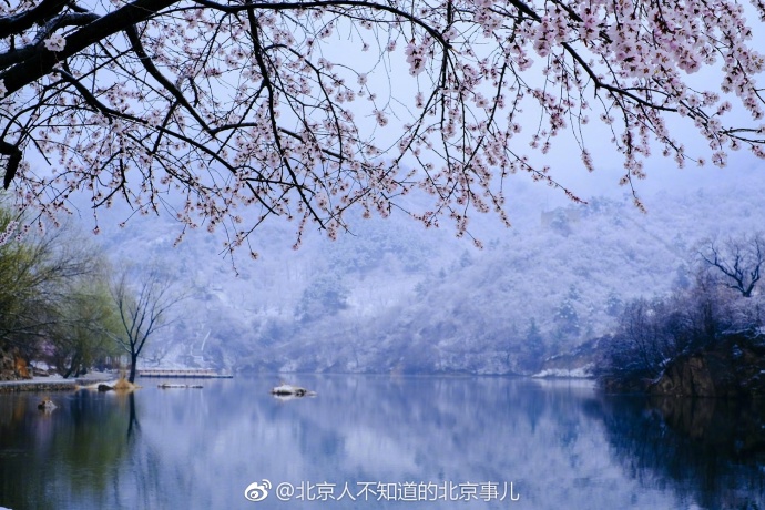 ????: ????? ?????? ???? ?????? ????? ??????