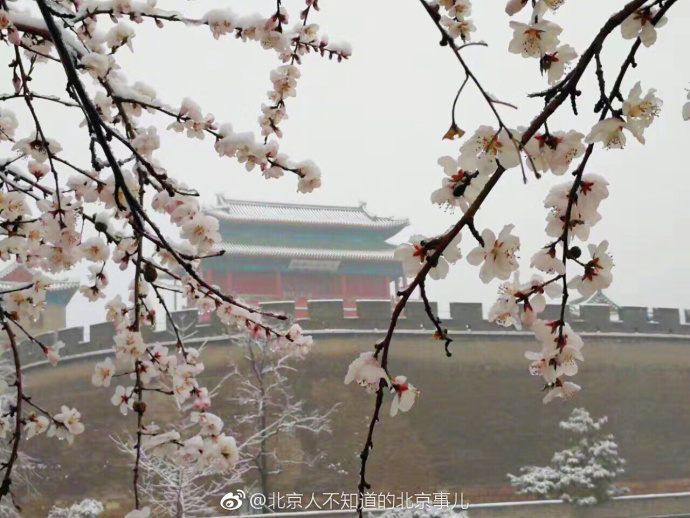 ????: ????? ?????? ???? ?????? ????? ??????