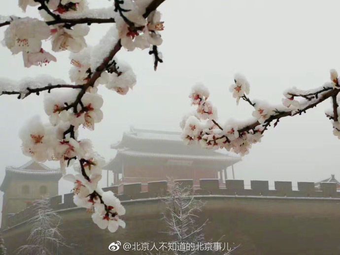 ????: ????? ?????? ???? ?????? ????? ??????