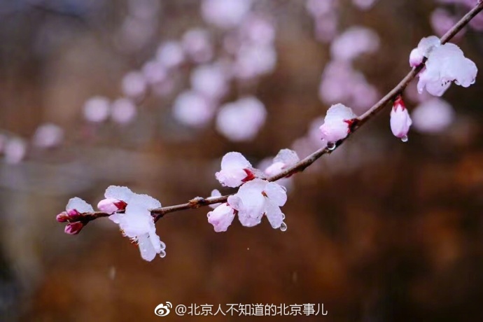 ????: ????? ?????? ???? ?????? ????? ??????