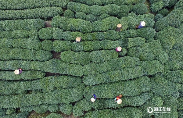 ??? ??? ?????? ?????? ?????? ??? ??????? ??????? ???? ???? 