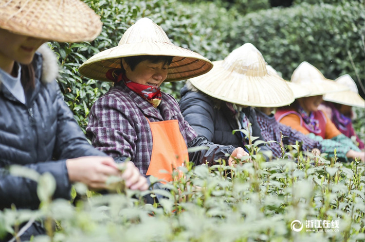 ??? ??? ?????? ?????? ?????? ??? ??????? ??????? ???? ???? 